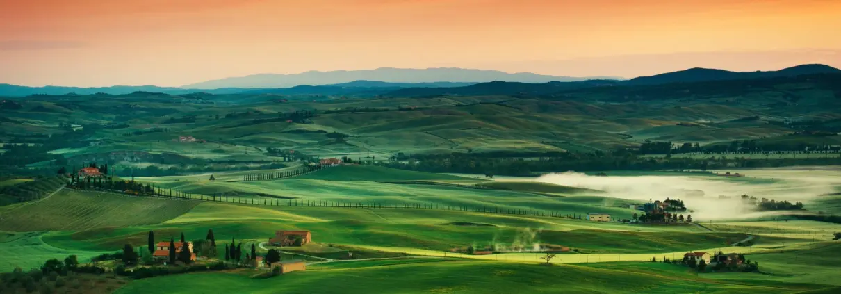 Vuelta al campo, a lo natural