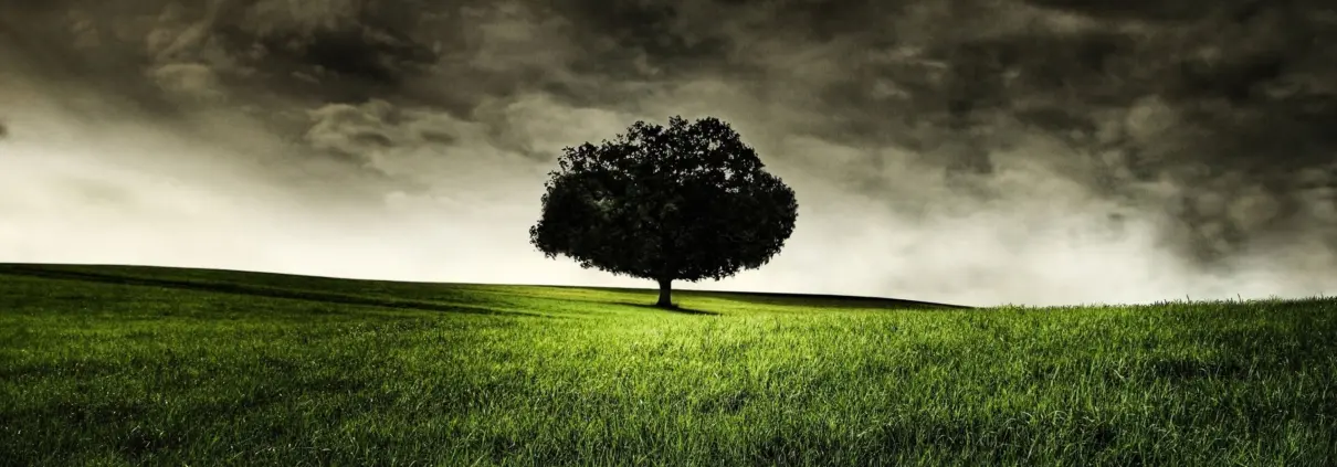 ¿Por qué aumenta el consumo de productos naturales?