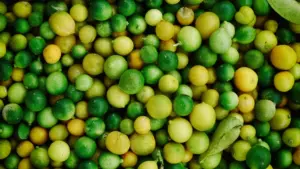 ¿Qué son productos bio o naturales?
