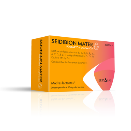 SEIDIBION MATER