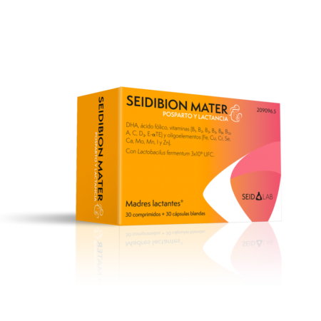 SEIDIBION MATER