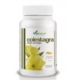 COLESTAGRA ACEITE DE ONAGRA