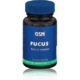 Fucus